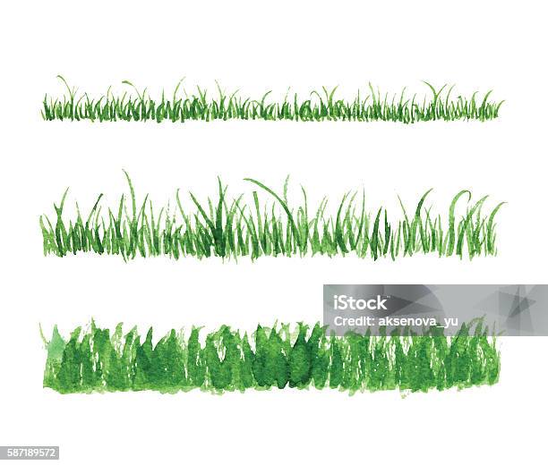 Hand Drawn Watercolor Grass Set Stock Illustration - Download Image Now - Grass, Watercolor Painting, Drawing - Activity