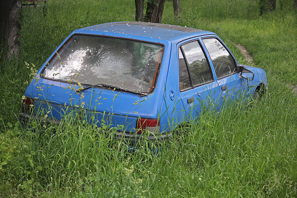 istock Derelict old car is overgrown with grass 587192192