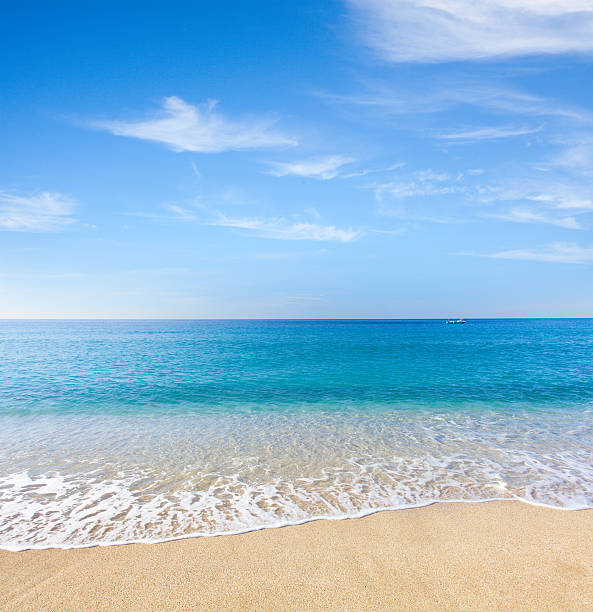 istock beach and tropical sea 587194996