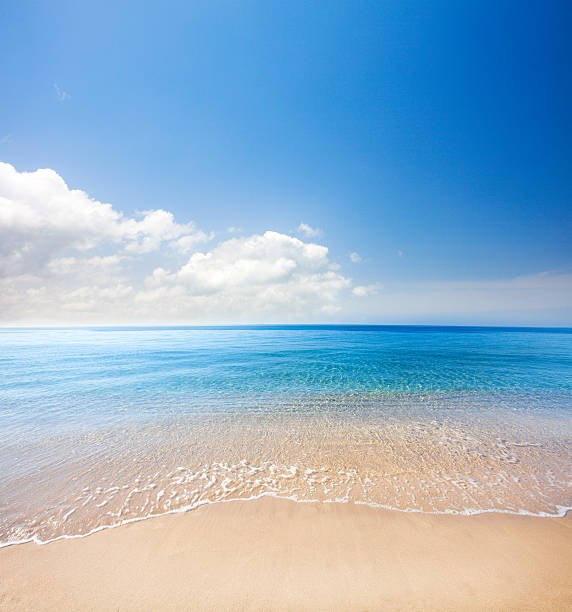 istock beach and tropical sea 587195256