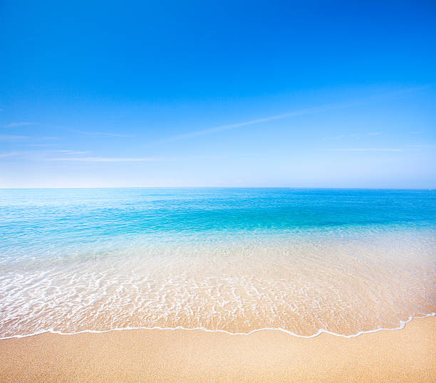 istock beach and tropical sea 587195320