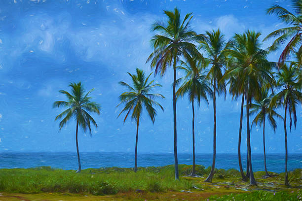 istock Digital art, paint effect, Palm tree Samana beach, Dominican republic 587196276