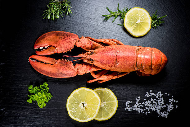 istock Top view of whole red lobster with dark stone 587201608