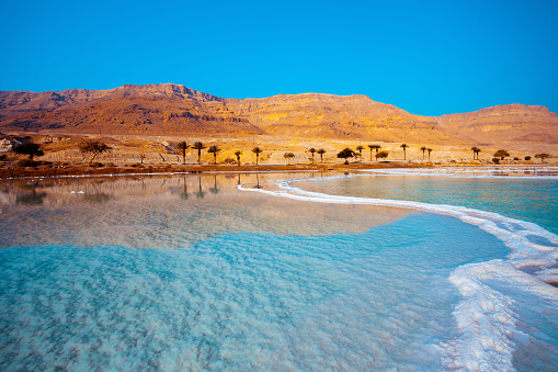 Orilla del Mar Muerto con palmeras y montañas al fondo photo
