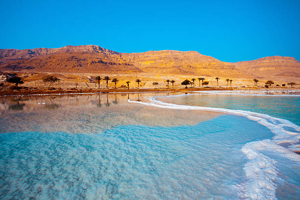 orilla del mar muerto con palmeras y montañas al fondo - dead sea fotografías e imágenes de stock