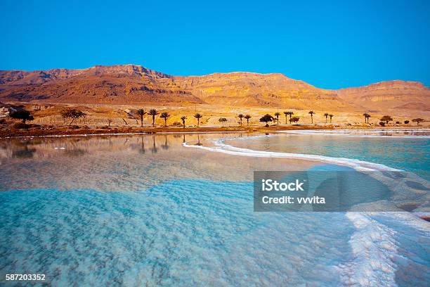 Dead Sea Seashore With Palm Trees And Mountains On Background Stock Photo - Download Image Now