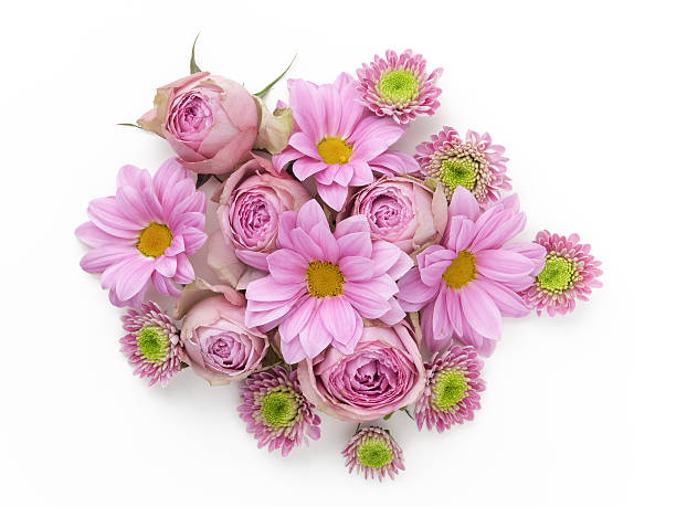 istock Beautiful fresh spring flowers on white background, top view 587203948