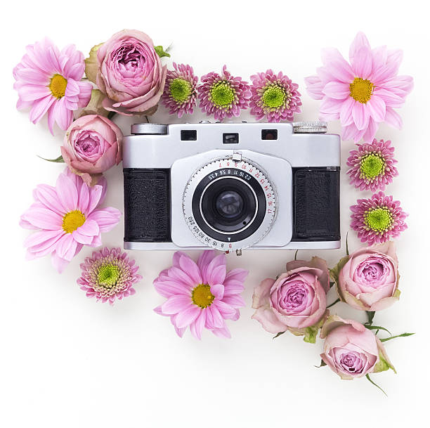 istock Vintage camera and pink flower on white background. Flat lay 587204164