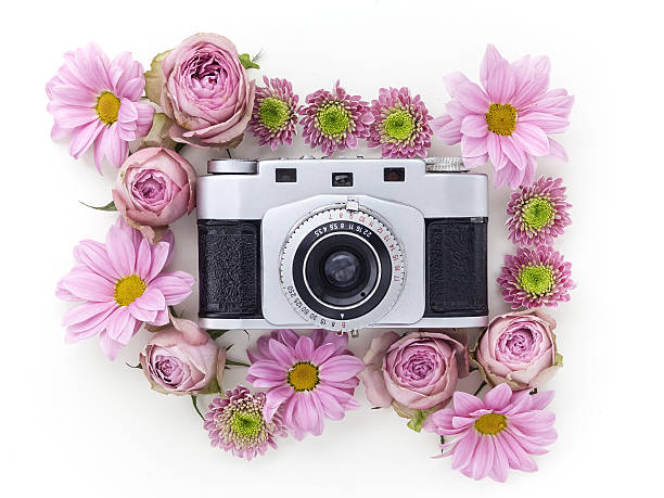 istock Vintage camera and pink flower on white background. Flat lay 587204208