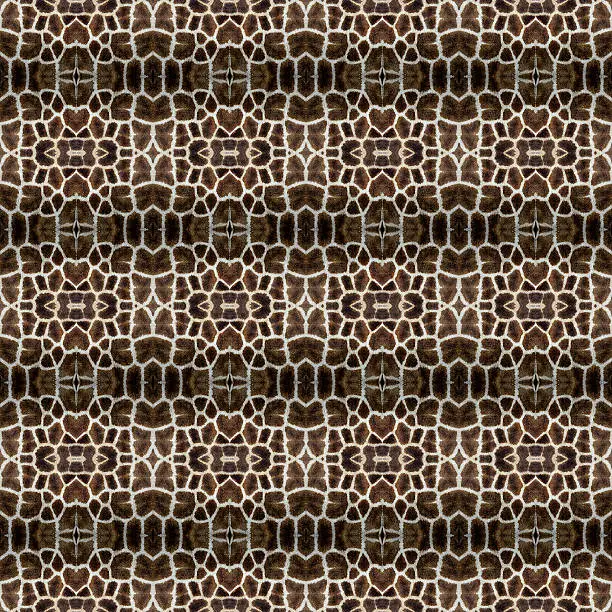 Photo of Beautiful Background Pattern made from Giraffe hairs