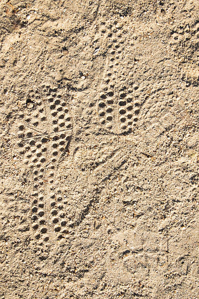 istock Shoeprints. Textures on the ground useful as a background. 587205084