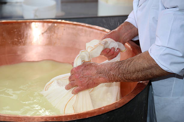 istock cheesemaker collects the cheese with the tarp 587206310
