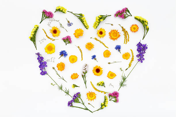 istock Love heart, valentines flowers background. Top view, flat lay 587207664