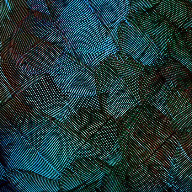 istock Beautiful green and blue background texture made of blue 587209198