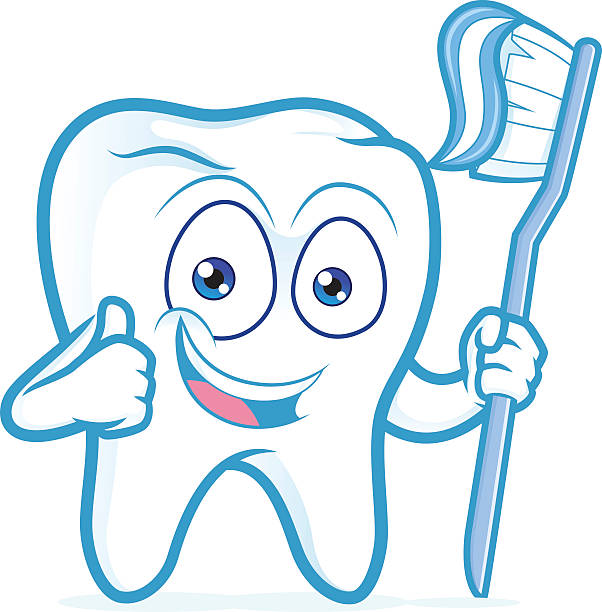 illustrations, cliparts, dessins animés et icônes de brosse à dents tenant - smiling human teeth toothbrush moving up