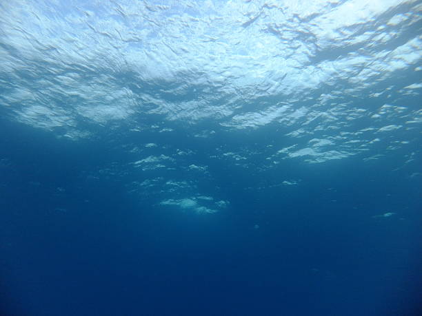 debaixo de água - below the surface imagens e fotografias de stock