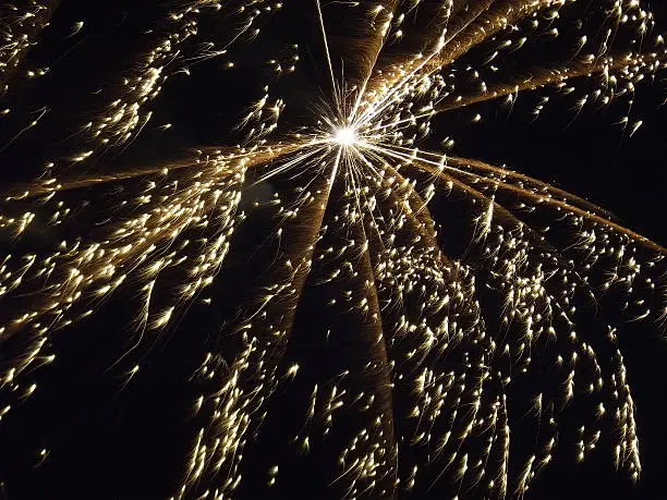 A crisp spectacular long exposure of a firework exploding.