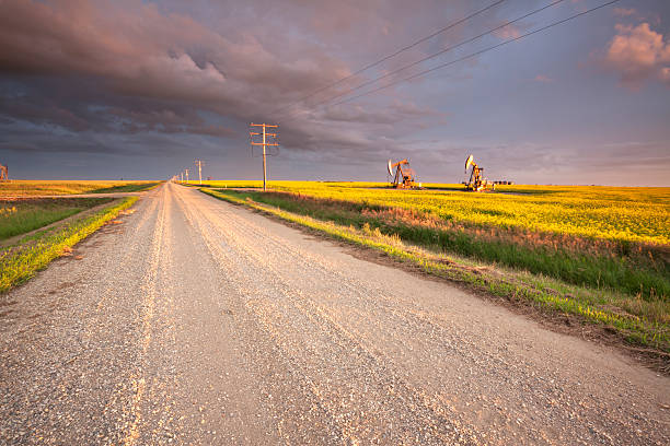 campo de canola de óleo da pradaria saskatchewan - saskatchewan country road road prairie - fotografias e filmes do acervo