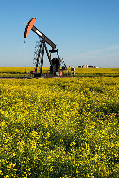 istock Prairie Oil Canola Field Saskatchewan 587217930
