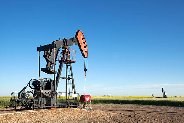 прейри нефть канола поле саскачеван - prairie agriculture cloud cloudscape стоковые фото и изображения