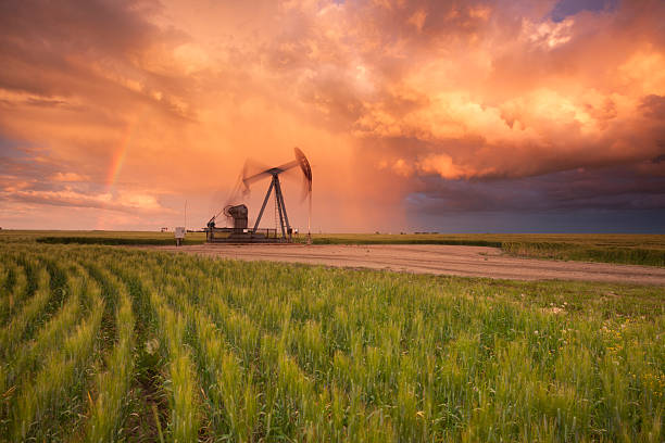 óleo de pradaria saskatchewan - prairie agriculture cloud cloudscape - fotografias e filmes do acervo