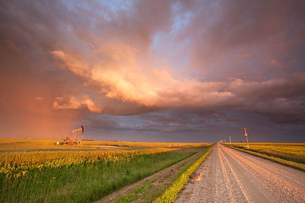 óleo de pradaria saskatchewan - saskatchewan country road road prairie - fotografias e filmes do acervo