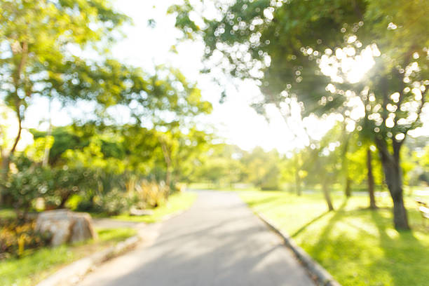 istock Blurred walkway with green tree in the park 587223968