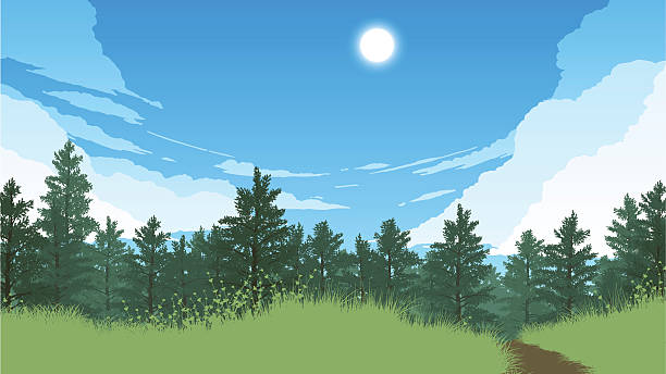 illustrazioni stock, clip art, cartoni animati e icone di tendenza di foresta panorama illustrazione - bosco