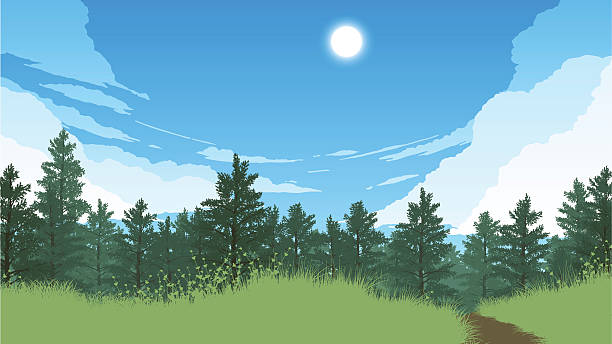 forest landscape illustration forest landscape flat color illustration in day time background of woodland stock illustrations