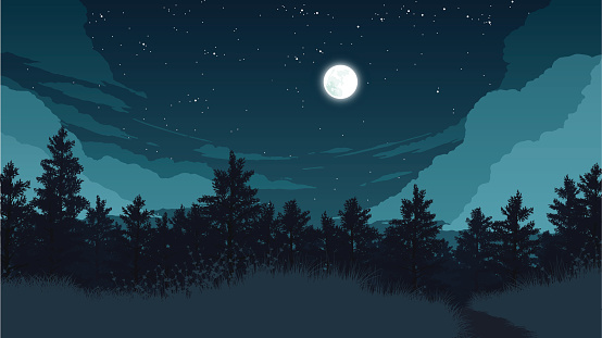 forest landscape flat color illustration at night time