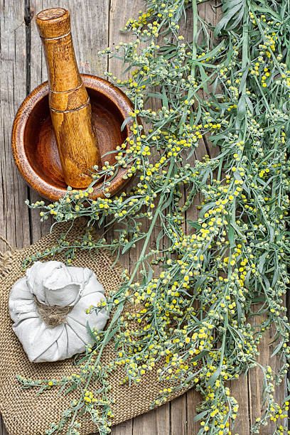 wormwood and mortar Branch of medicinal sage and mortar with pestle cutter insect repellant stock pictures, royalty-free photos & images