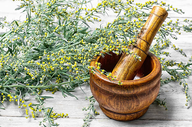 istock wormwood and mortar 587225958