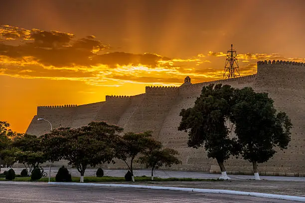 Massive Ark fortress (Bukhara, Uzbekistan) against beautiful sunset background. Green and  blossom trees in foreground.