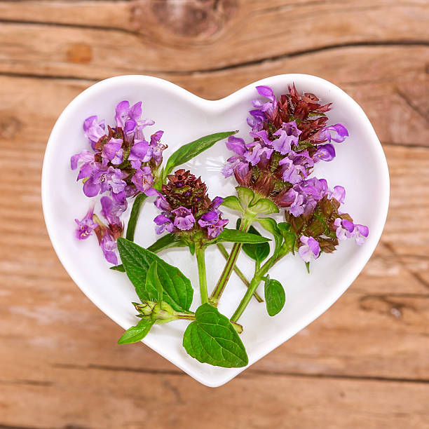 istock Homeopathy and cooking with prunella 587512282