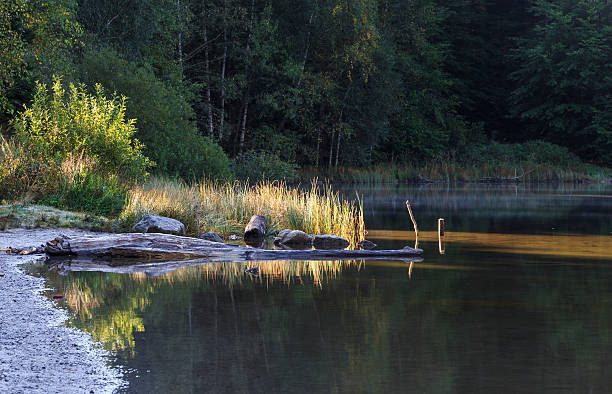 istock First sunbeam at the calm lake 587512852