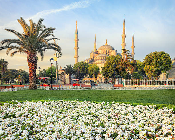 istock Blue mosque, Istanbul, Turkey 587513052