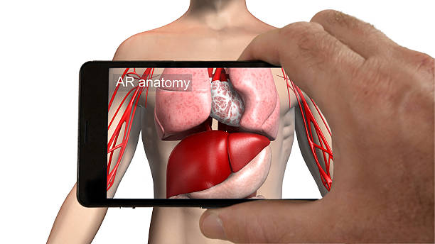 Augmented reality medical imaging app. stock photo