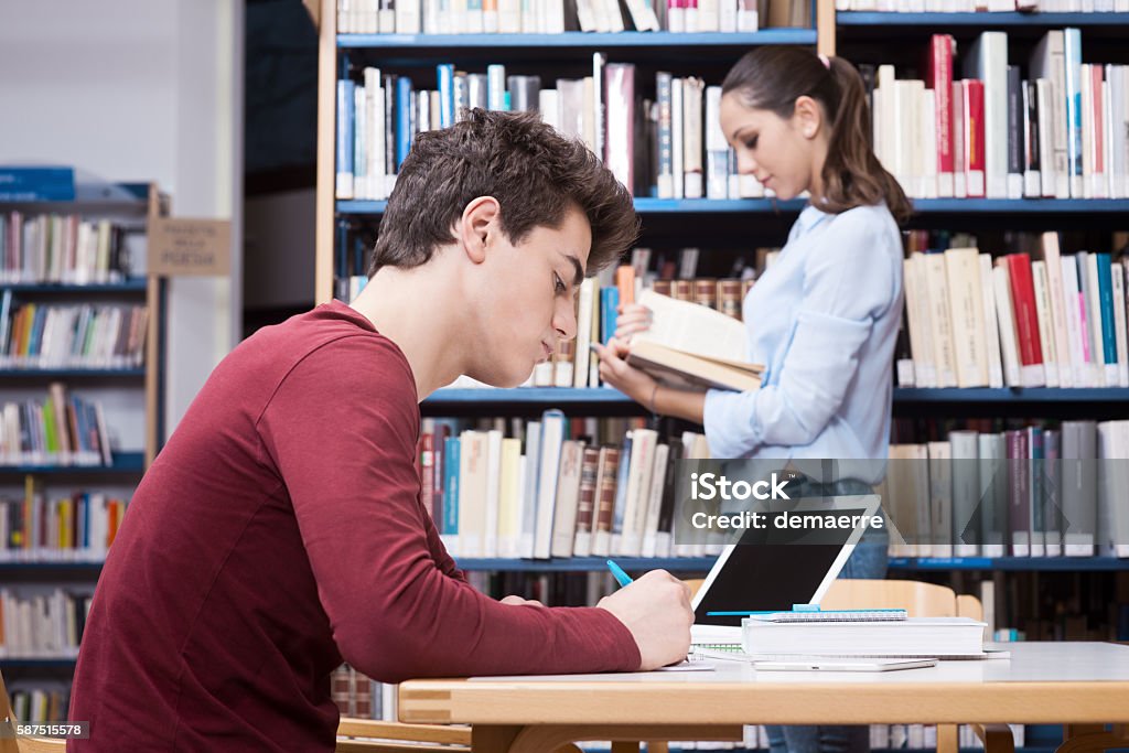 Student studying at the library Young student studying at the library, girl and bookshelves on background Book Stock Photo