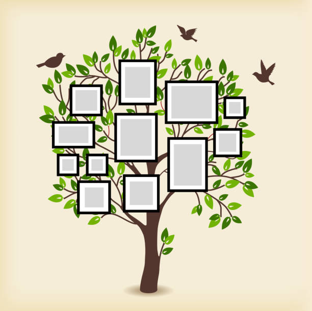 ilustraciones, imágenes clip art, dibujos animados e iconos de stock de árbol de memorias con marcos - árboles genealógicos