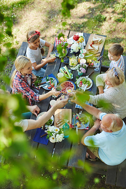 istock Picnic in the garden 587518952