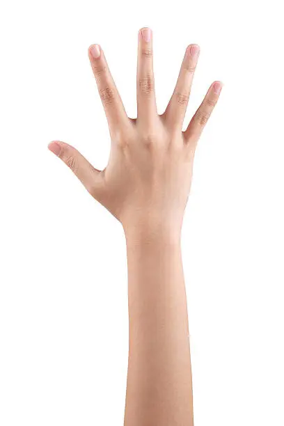 Photo of Woman right hand showing the five fingers isolated