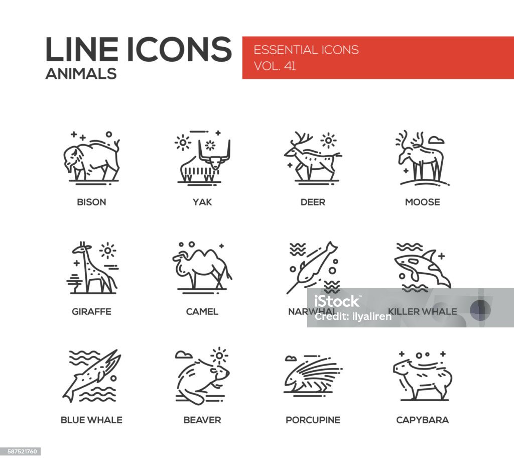 Animals - line design icons set Animals - set of modern vector plain line design icons and pictograms of animals. Bison, yak, deer, moose, giraffe, camel, narwhal, killer whale, blue whale, beaver porcupine capybara Icon Symbol stock vector