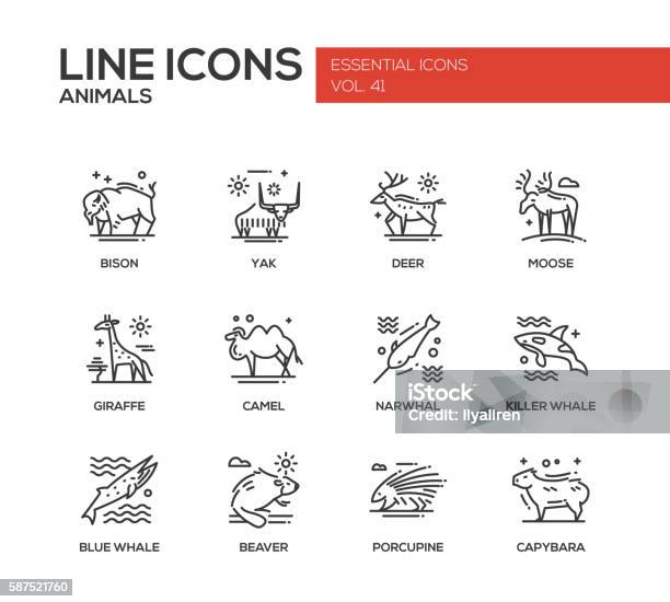 Animals Line Design Icons Set Stock Illustration - Download Image Now - Icon Symbol, American Bison, Beaver