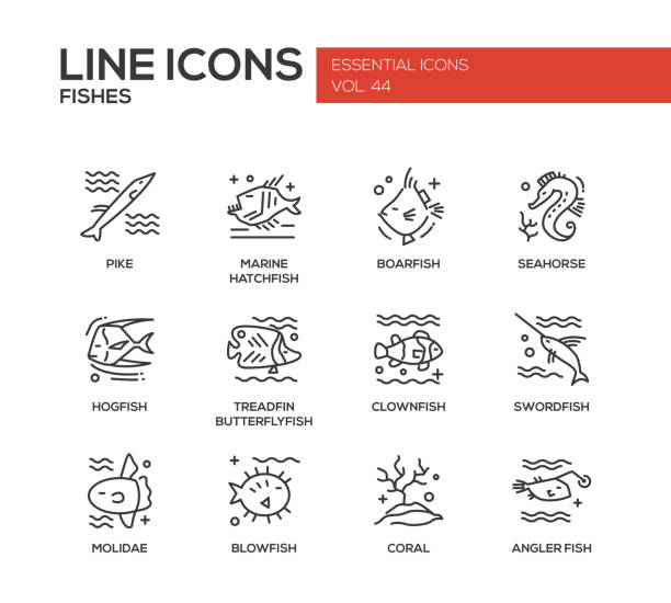 Fishes - line design icons set Fishes - set of modern vector plain line design icons and pictograms. Pike, marine hatchfish, boarfish, seahorse, hogfish, treadfin butterflyfish, clownfish, swordfish, molidae, blowfish coral angler fish opah stock illustrations
