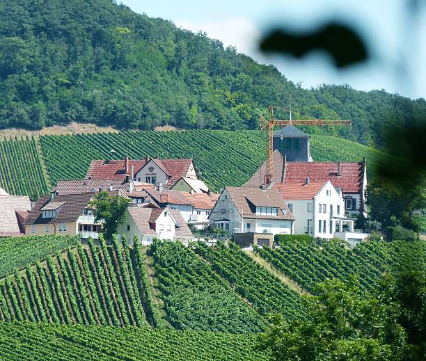 istock Village at the vineyard 4 587523286