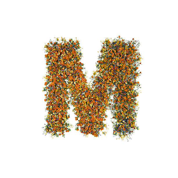 letter m of flowers and grass on white background - letter m alphabet color image flower imagens e fotografias de stock