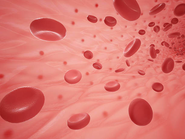 istock Human vessel with erythrocyte 587525112