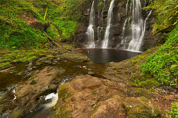 滝のグレナリフ森林公園で北アイルランド - nobody non urban scene long exposure county antrim ストックフ��ォトと画像