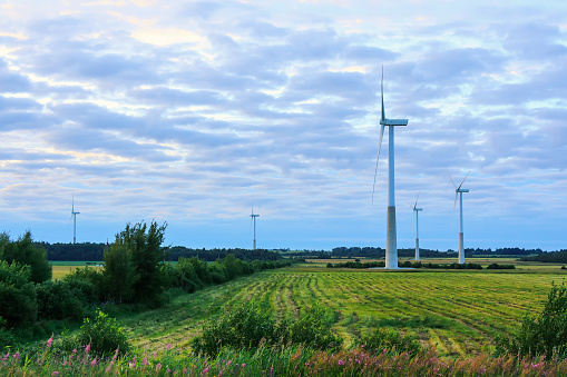 Windmill on rural field in the sunset. Wind turbines farm.