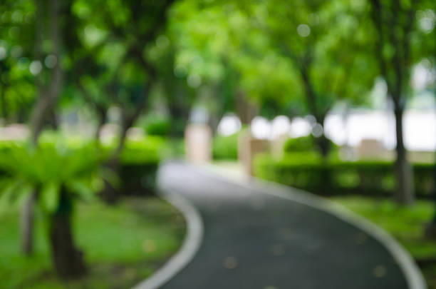 istock Way In Natural Public Park In Blurry Background. 587528848